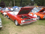 P1010080.JPG